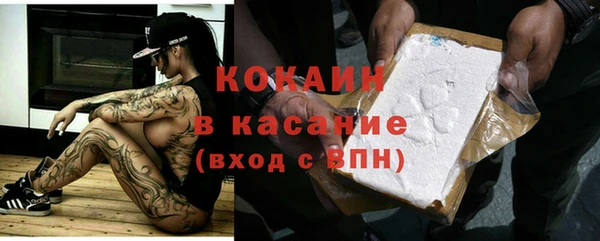 сатива Надым